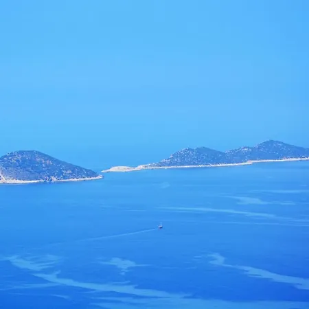 Avon Kalkan